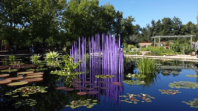 Discovering the Magic of the Denver Botanic Gardens